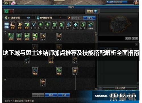 地下城与勇士冰结师加点推荐及技能搭配解析全面指南